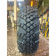  Worcraft Brand 425 85r21tires All Steel for on Road Offroad Trucks Kama 1260-2 20pr Russia Kazakhstan Oilfield