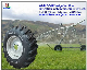  R-1 Series Agricultural Tires for Irrigation System