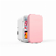  Mini Portable Fridge Car Refrigerator Semiconductor Cooling