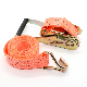 Lashing Belt or Ratchet Tie Down Strap of Manufacturing Price