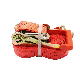  Customized PE Polyester 50mm*8m Red Color Cargo Lashing Belts Ratchet Straps
