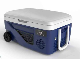 35L Portable DC Compressor Camping Car Truck Refrigerator with Wheel