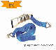  Cargo Lashing Belt Customized Double J Hook Ratchet Tie-Down Lashing Strap 8m X 50mm