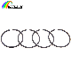  Industrial Engine Parts Piston Ring L3y6-11-Sco/L3y1-11-Sco/Lfy1-11-Sco for Mazda