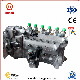  Diesel Engine F6l912 Engine Part Fuel Injection Pump for Deutz