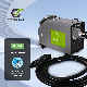  Champion Movable DC Charging 7kw 14kw 20kw 30kw 40kw Replacing Charging Gun EV Charger with Ocpp and 4G