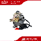  Motorcycle Carburetor Motorcycle Parts for Gy6 50/80