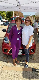  Electric Car Electric Vehicle EEC M1 Certification