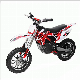  Mini Electric Dirt Bike (TBD01)