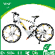 28 Inch Hidden Battery Mountain Electric Dirt Bike with Integrated Wheel