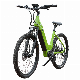  350W 10.4ah Electric Cycle Mini Bike Electronic Bicycle Cheap Electric Dirt Bikes E-Bike