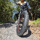  Carbon Fibre Dirt Cruiser Electric Fat Ebike 750W Bicicleta Electrica