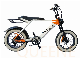  Queen/ Electric Mountain Bike Dirtbike 750 1000W Two Wheels E Cycle Bicycle Bici Eletrica