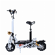 12inch Wheel Electric Bicycle 48V1600W /Electric Dirt Bike 1200W Motor