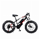  2023 China Carbon Steel Frame 20 Inch Fat Tire Mountain Bicycle Motor Electric Dirt Bike for Sale