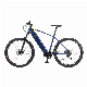  36V 250W 27.5*2.35 Mountain Dirt MID Drive Motor 10.4ah Electric Bike