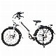  Double Disc Brake Brushless Bicycle China Bikes Dirt Bike Electric Motor Ebike