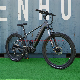  New Design Mountain Electric Bike Dirt Ebike with Powerful Motor