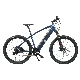Electric Dirt Mountain Bike 29 Adult 2000W with Central Motor
