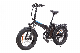 Electric Bike for Adults Dirt Bike Folding Ebike 48V500W 20′′ Handiness OEM E Bike Vehicle manufacturer