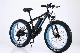 26 Inch 48V 500W 750W 1000W Motor Fat Tire E Bike Electric Dirt Road Bike City Foldable E-Bike Electric Bicycle Mountain Bike manufacturer