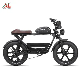  Mountain Motor Dirt CE Electric Bike