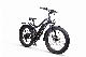 48V 750W Electric City Mountain Dirt Motor Bike Ebike