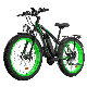  Ebike Bicycle Powerful Mountain Electric Bike Dirt Bike Fat Tire Electric Bicycle