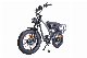 Electric Bicycle Dual Hub 1000W Motor High Quality Fat Tyre Ebike Mountain Dirt Bicycle manufacturer