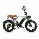  Kenda 20 Inch Tyre Motorcycle Electric Bicycle 7 Speed 48V 14ah Dirt Bike Electric Bicycle