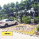 Self-service Car Washer Equipment  Coin system Auto cleaning