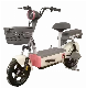 Pardo PP2 Fashion Most Popular Electric Bike with Lead-Acid Battery