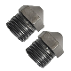  Wholesale Price Customized Stainless Steel Screw Nozzle for Plastic Injection Molding Machine