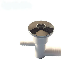  50mm SPA Water Jet Bathtub Stainless Steel Massage Nozzle