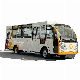  China Manufacture 23 Passenger Mini Bus Electric Bus (ZH-L23)