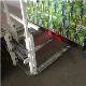  Green Laser Guidance System for Protecting Cargo Forklifts