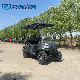  6 Seats Electric Golf Car, Hot Selling Electric Vehicle Airport Passenger Shuttle Bus