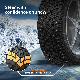 High Performance Zeta Pace New Passenger Car Tire China and Thailand Made Wholesale Prices 235/40zr18 Winter Studded Tire for 205 55 16 PCR Tyre with Spikes manufacturer