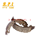 High Quality Auto Parts Ceramic Fiber Material Brake Shoe for Nissan Atlas Condor Civilian 36160-50T25 36160-L5005 36160-T1025 C6160-50T25 K1135 IS1135 FN1135 manufacturer