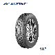  Passenger Car Tyre, UHP Car Tire with All Certificate