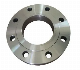 High Quality Standard DIN Forged Flange Stainless Steel 1.4308 Flange
