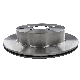  Customized Auto Spare Parts Rear Brake Disc for OE#43206WL000/43206CA000