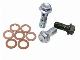  China 304 Stainless Steel Green Silver Oxidation Motorcycle Brake Oil Pipe Screw