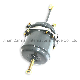  Wg9000360613 Diaphragm Spring Right Brake Chamber Air Brake Chamber for Sinoturk HOWO Wabco Shacman Air Chamber