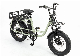  Strong Frame Fat Tire Cargo Electric Bike
