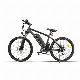  Factory Price 26 Inch 36V DC 350W Brushless DC Motor Mountain Electric Bike