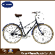 City Bike 18-Mixte S5 Retro for Lady manufacturer