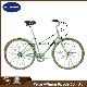 2017 New Product High Quality City Bicycles (CTB17) manufacturer
