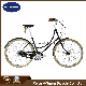 2017 New Fashion Inner 7gear Cr-Moly Bikes Unisex City Bicycle (CTB16) manufacturer