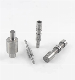  Factory Custom CNC Lathing Aluminum, Brass, Stainless Steel Metal Dowel Pin